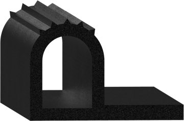 Cross-section of BL-058